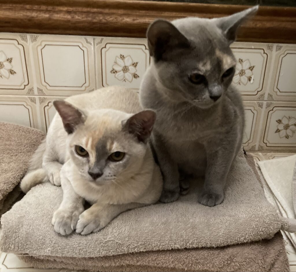 On the left